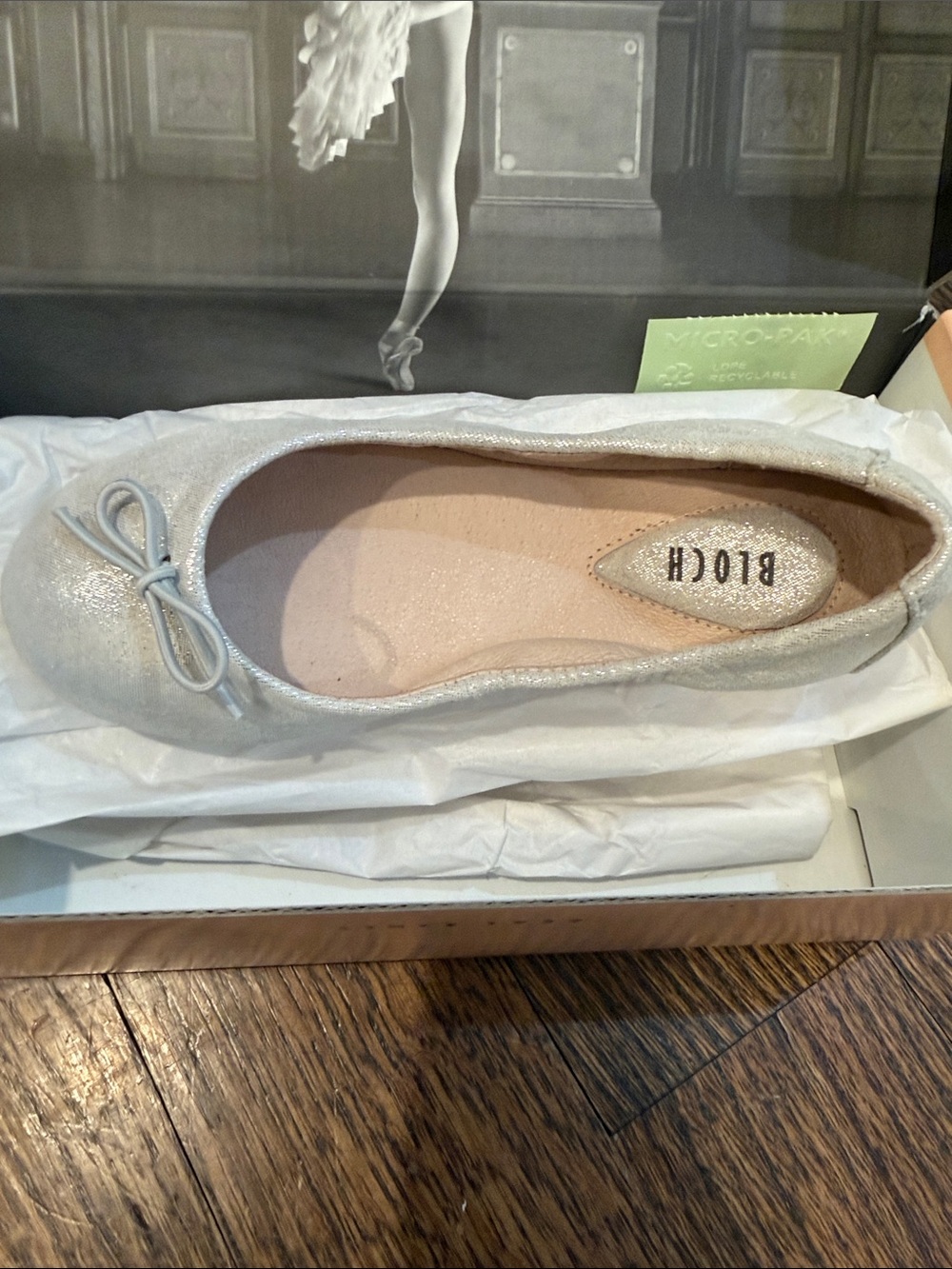 Bloch Silver Glitter Kids Ballet Flat with Bow